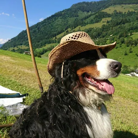 아파트 Bio-bauernhof Schiederhof Fusch an der Grossglocknerstrasse