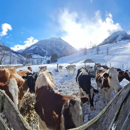 Bio-bauernhof Schiederhof * Fusch an der Grossglocknerstrasse