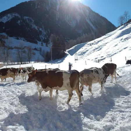 Bio-bauernhof Schiederhof Fusch an der Grossglocknerstrasse