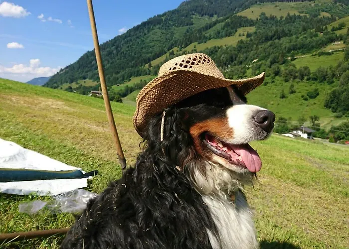 Апартаменты Bio-bauernhof Schiederhof Fusch an der Grossglocknerstrasse