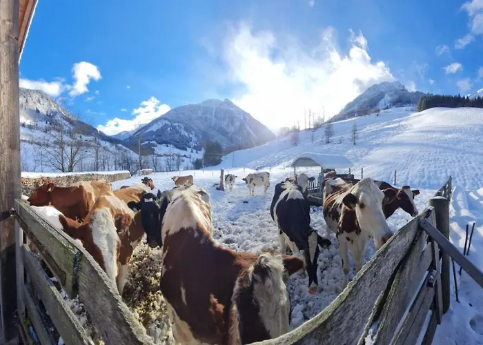 Bio-bauernhof Schiederhof * Fusch an der Grossglocknerstrasse