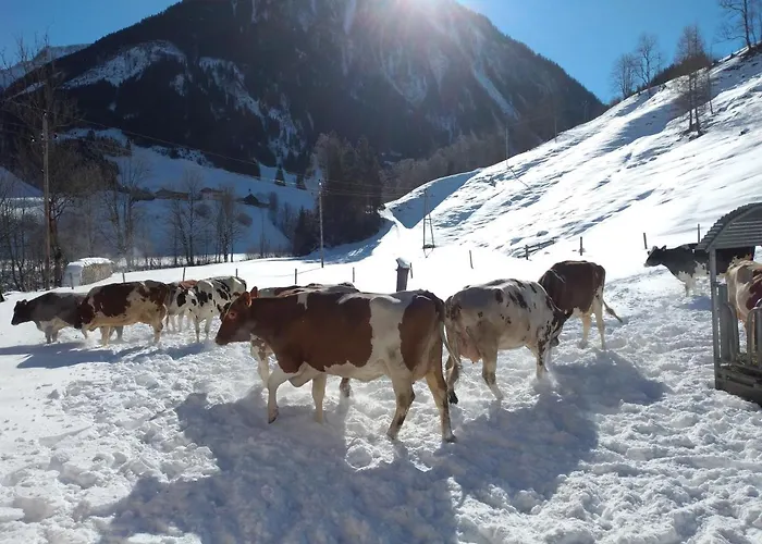 Bio-bauernhof Schiederhof Fusch an der Grossglocknerstrasse